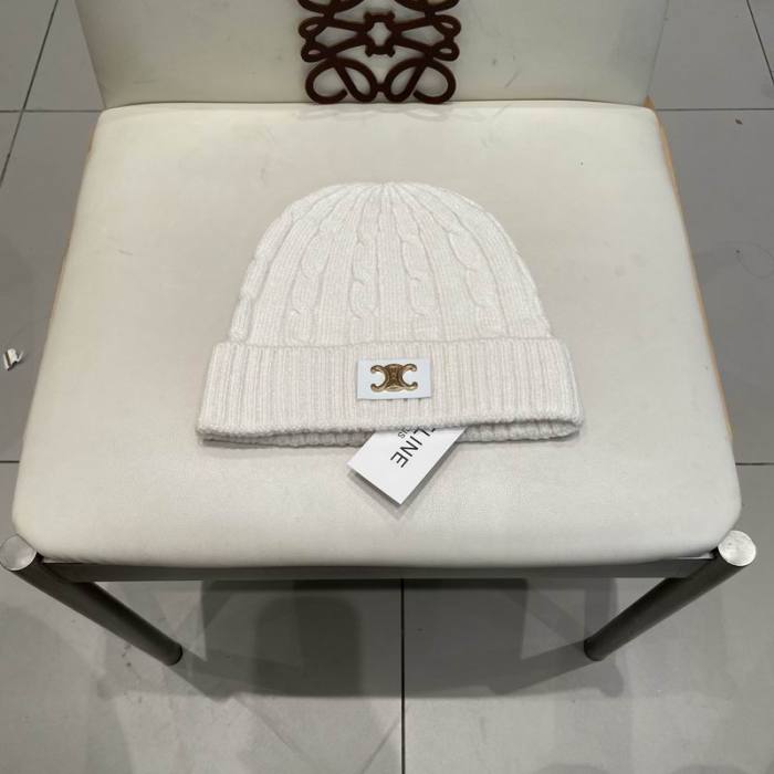 Celine Hats AAA-1504