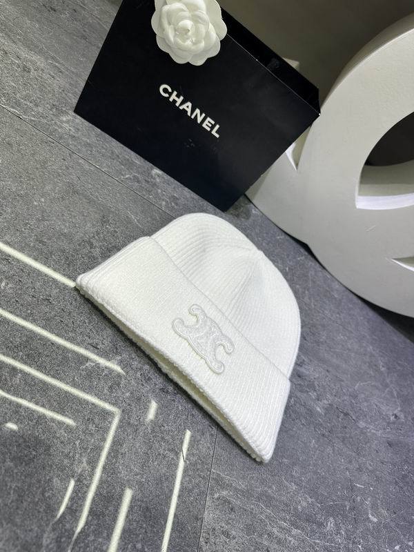 Celine Hats AAA-1606