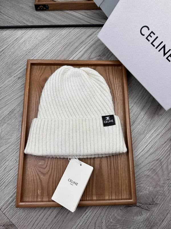 Celine Hats AAA-1547