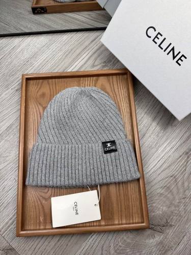 Celine Hats AAA-1543