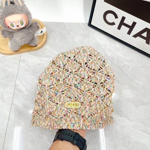 Dior Hats AAA-1465