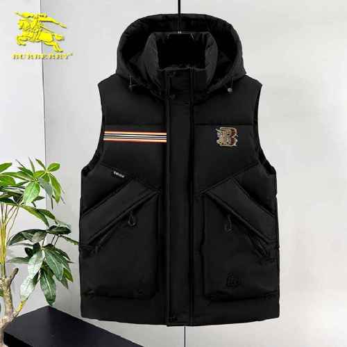 Burberry Down Coat men-437(M-XXXL)