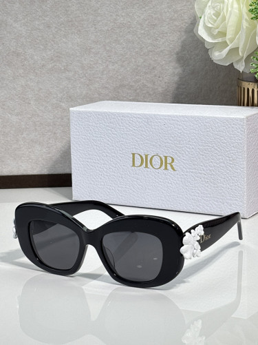 Dior Sunglasses AAAA-4814