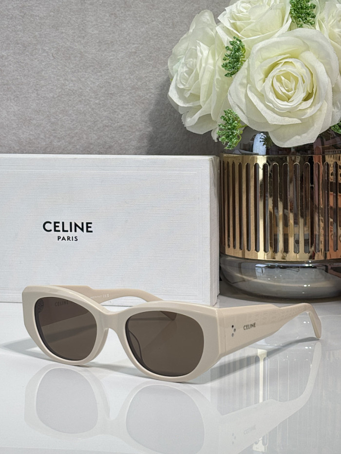 CE Sunglasses AAAA-2738