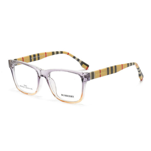 Burberry Sunglasses AAA-311