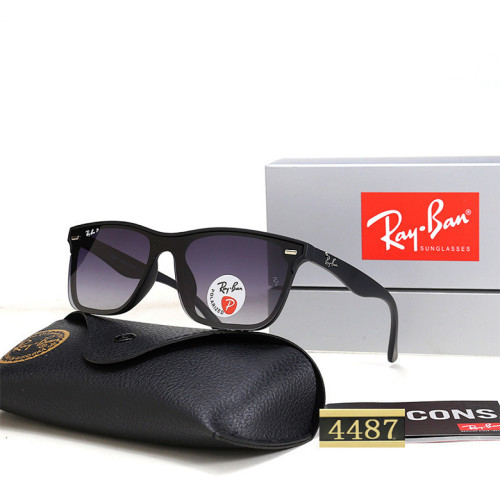 RB Sunglasses AAA-608