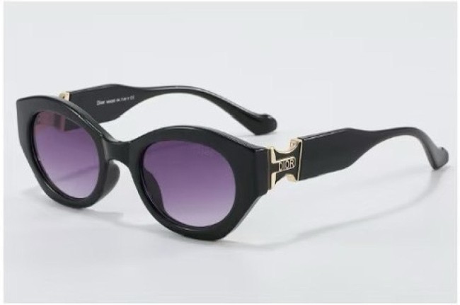 Dior Sunglasses AAA-669