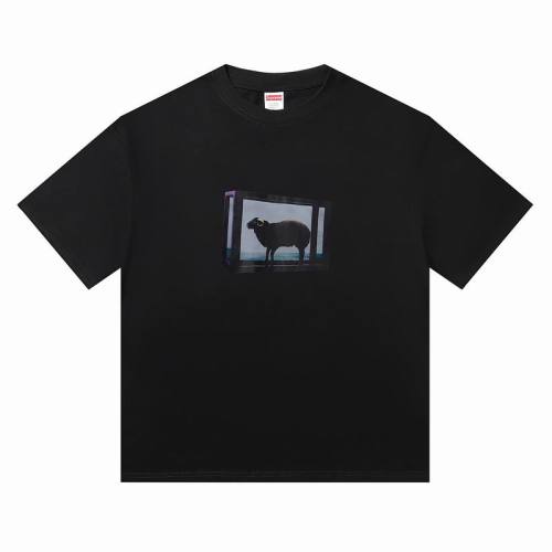 Supreme T-shirt-2399(S-XL)
