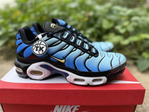 Nike Air Max TN Plus men shoes-1939