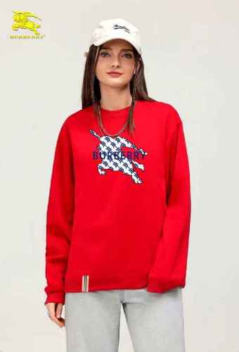 Burberry men Hoodies-1910(S-XXXXXL)