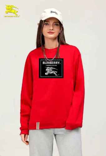 Burberry men Hoodies-1909(S-XXXXXL)