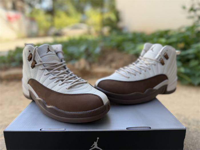 Authentic Air Jordan 12 “Fireside”