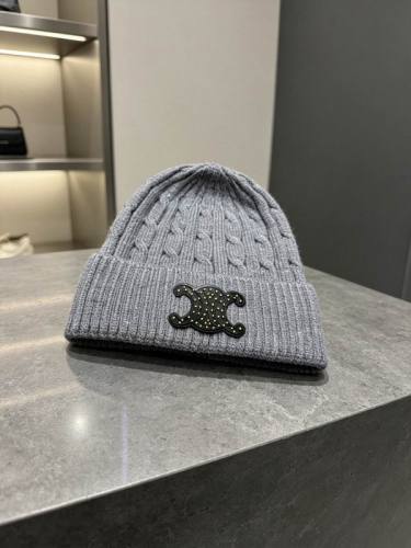 Celine Hats AAA-1801
