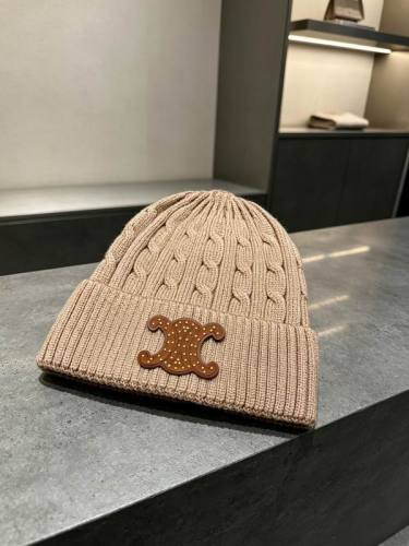 Celine Hats AAA-1799