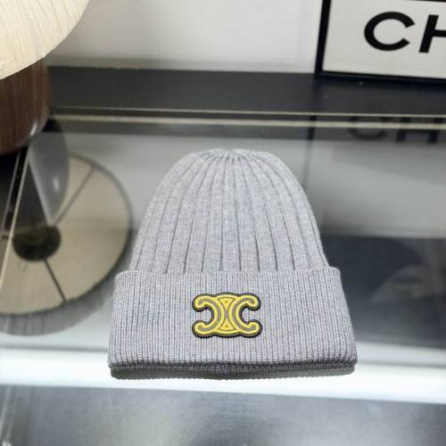 Celine Hats AAA-1751