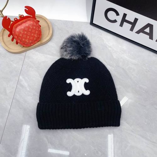 Celine Hats AAA-1768