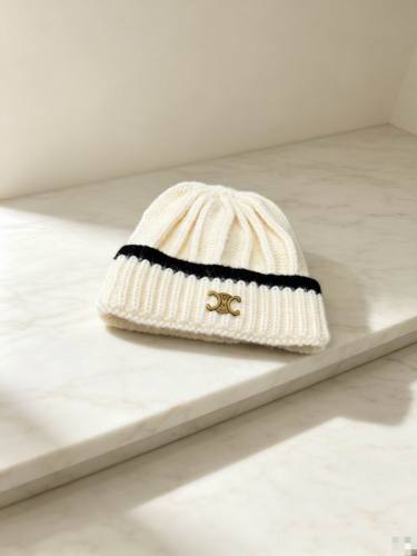 Celine Hats AAA-1766