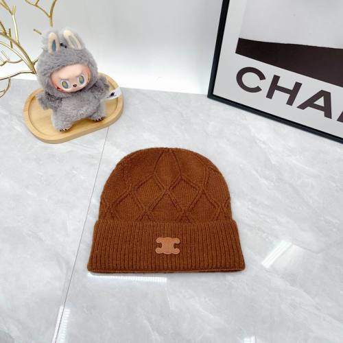 Celine Hats AAA-1779