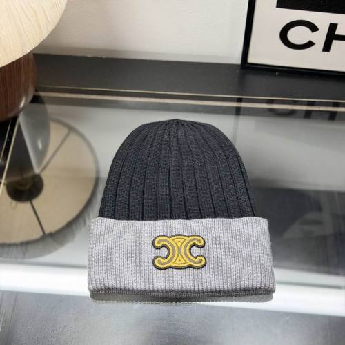 Celine Hats AAA-1754