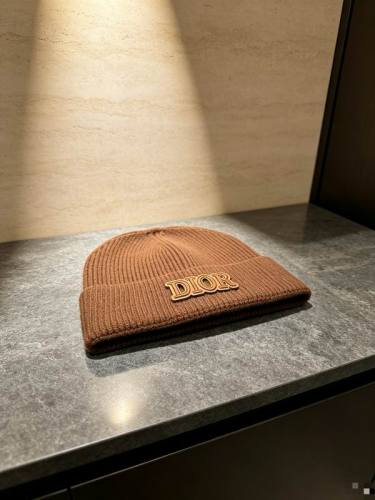 Dior Hats AAA-1520