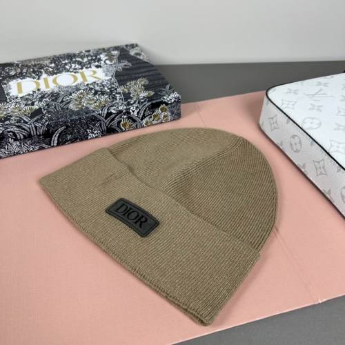 Dior Hats AAA-1490