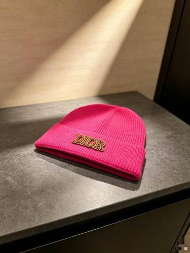 Dior Hats AAA-1517