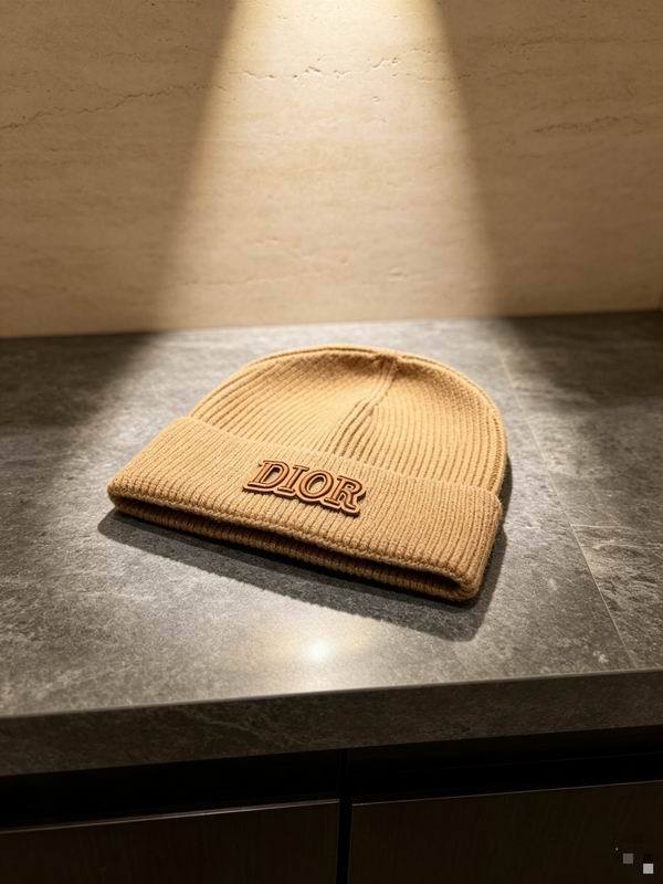 Dior Hats AAA-1521