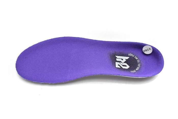  N Zoom Kobe VI TB Purple 454142-500