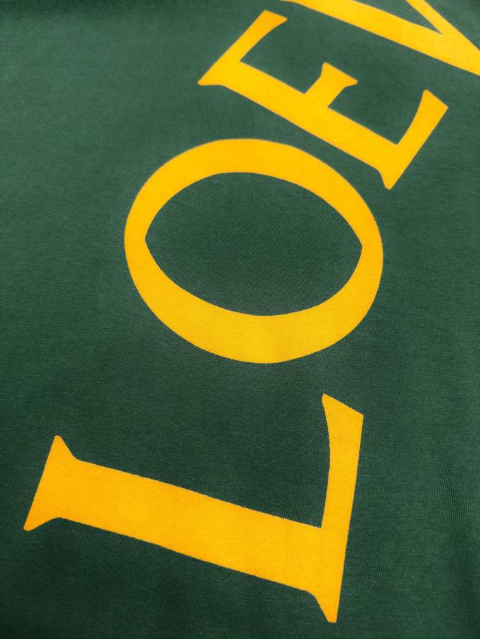 1:1 quality version Large letter-printed Hoodie 2 colors 28465893