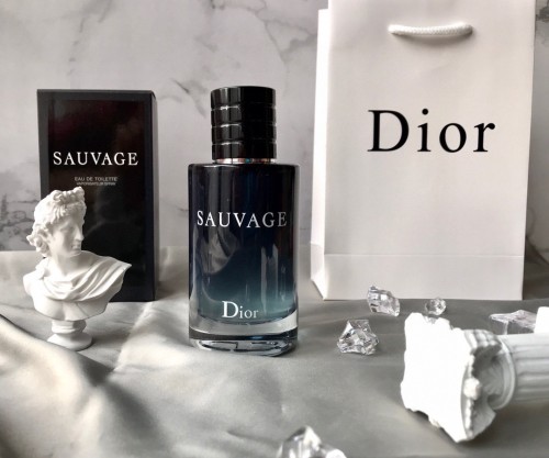 Sauvage Men's Wilderness Eau de Perfume 28600240