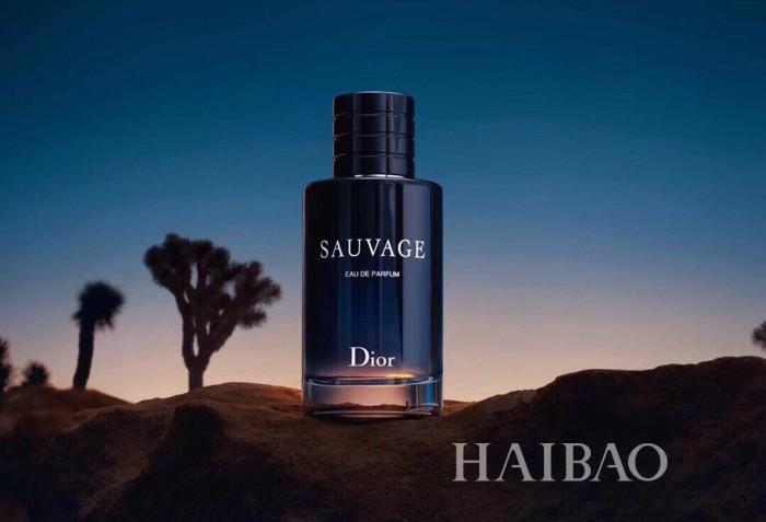 Sauvage Men's Wilderness Eau de Perfume 28600240