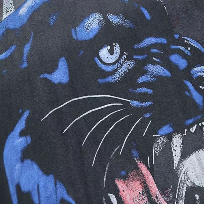 Panther & Sun Graphic Vintage Washed T-Shirt 29027393