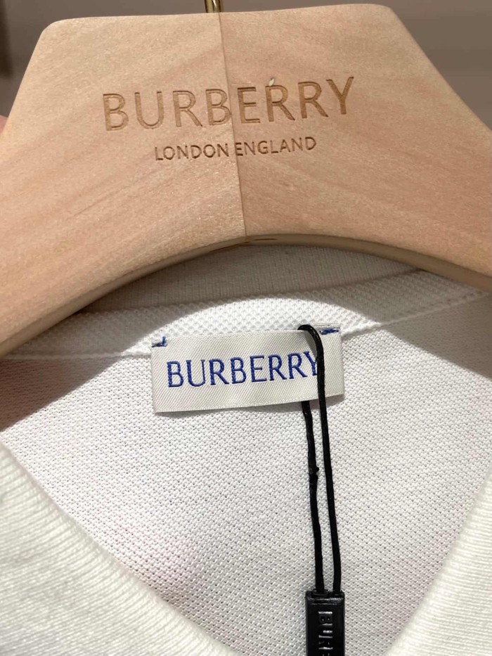 1:1 quality version Check Placket Embroidered Polo Tee 8 colors 29069300