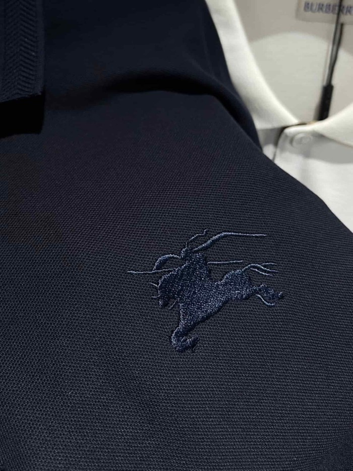 1:1 quality version Check Placket Embroidered Polo Tee 8 colors 29069300