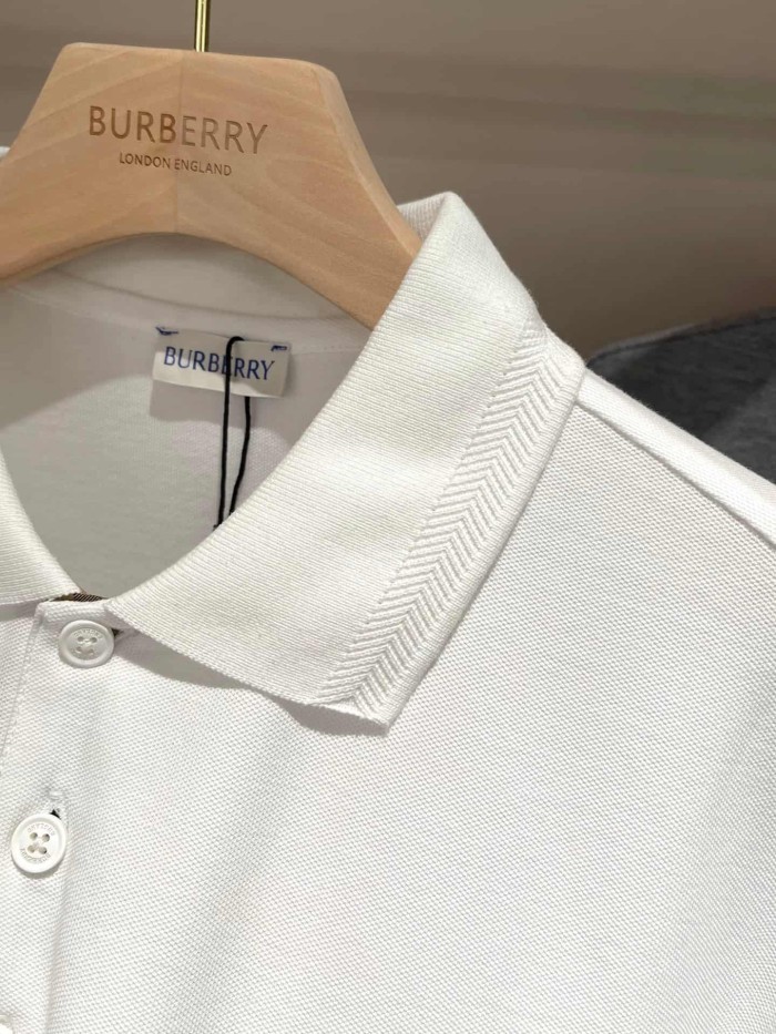 1:1 quality version Check Placket Embroidered Polo Tee 8 colors 29069300
