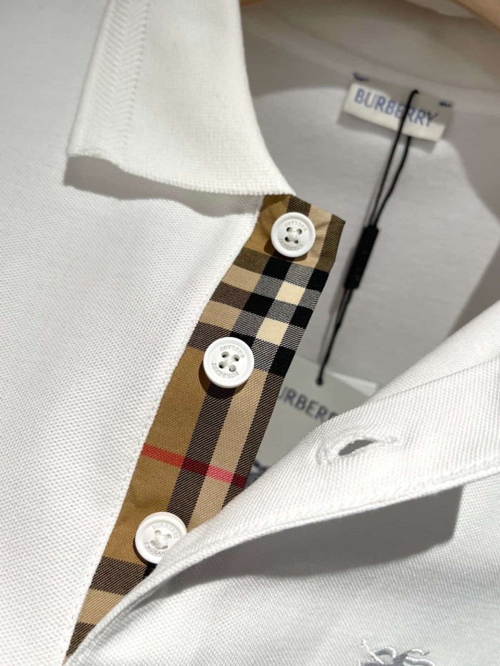 1:1 quality version Check Placket Embroidered Polo Tee 8 colors 29069300