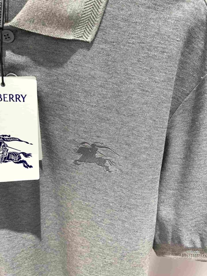 1:1 quality version Check Placket Embroidered Polo Tee 8 colors 29069300
