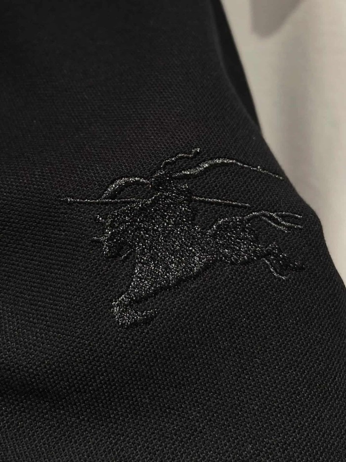 1:1 quality version Check Placket Embroidered Polo Tee 8 colors 29069300