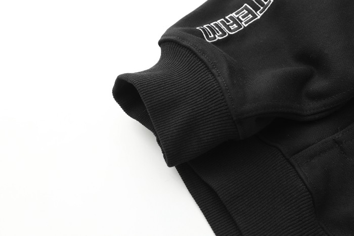 1:1 quality version Multi-Embroidered Champion Trophy Logo Zip Hoodie 3 colors 29082086
