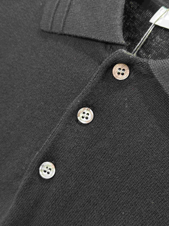 1:1 quality version Classic Embroidery 100% Cotton Knit Polo Shirt 2 colors 29106794