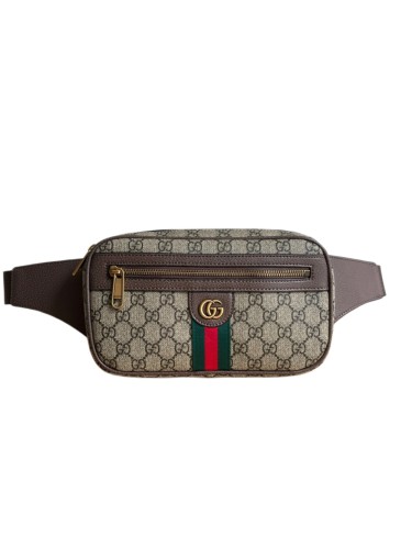 GG Supreme Pattern Zip Waist Bag Unisex Crossbody Chest Bag 29116352