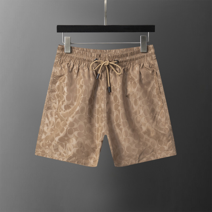Mesh Lining Quick-Dry Beach Shorts 66 colors 29119171