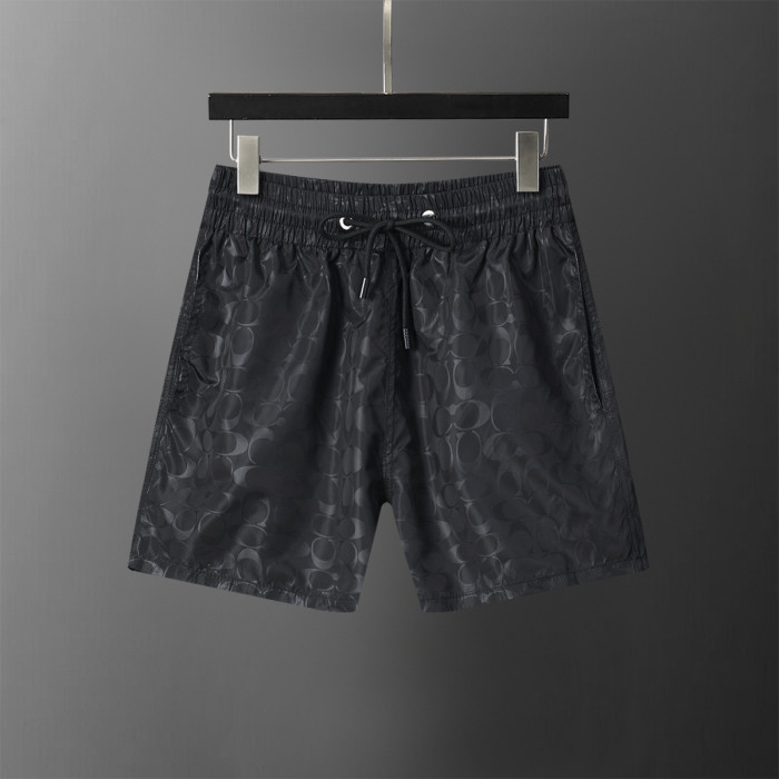 Mesh Lining Quick-Dry Beach Shorts 66 colors 29119171
