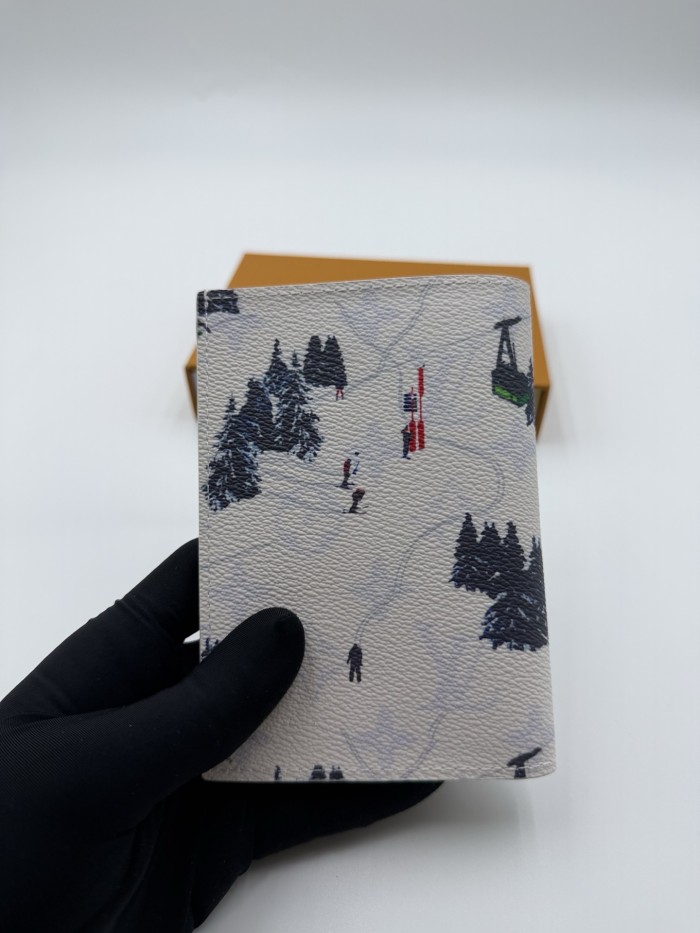 Seasonal Sports Scene Graphic Foldable Passport Case Inner Multi Card Slots Slim Passport Protector 4 colors 29306338