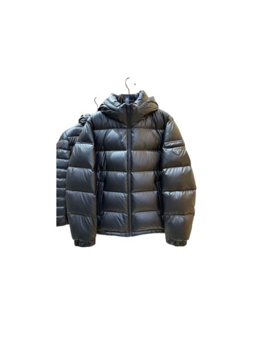 1:1 quality version Shiny Sleeve Triangle Logo Hooded Quilted Zip-Up Down Jacket 29481604