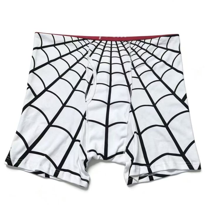 Hanes Collaborative Spider Web Print Men's Long-Leg Pure Cotton Boxer Briefs 3 colors 29491390