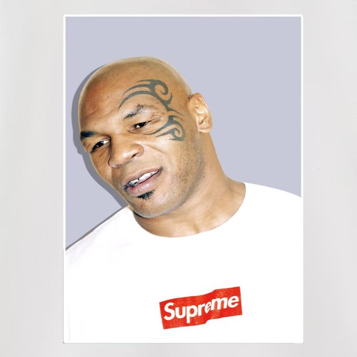 Mike Tyson Boxing Portrait Print Fox Fleece Oversized Hoodie 3 colors 29510964