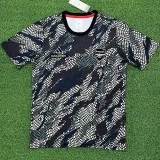 23-24 ARS Grey Blue Joint Edition Fans Soccer Jersey