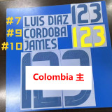 24-25 Colombia Home Player Version Soccer Jersey