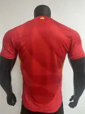 24-25 Spain Home Player Version Soccer Jersey